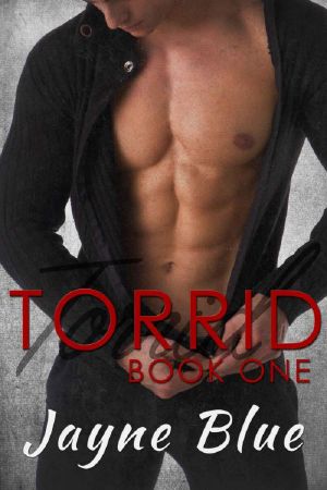 [Torrid Trilogy 01] • Torrid - Book One